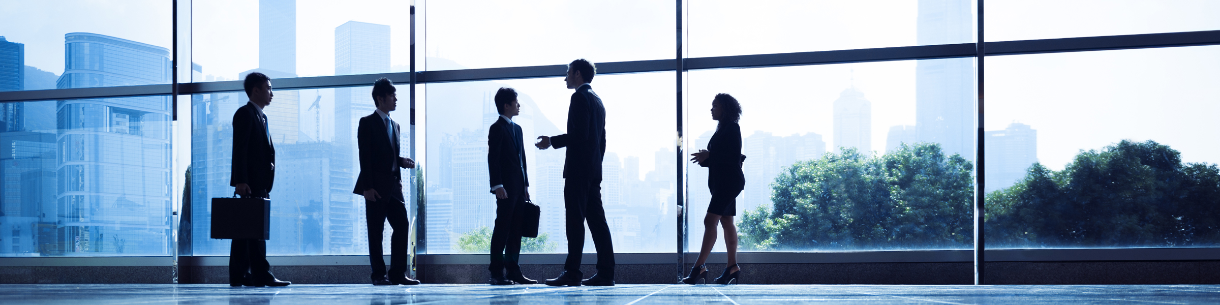 Finance, banking and insurance practice
